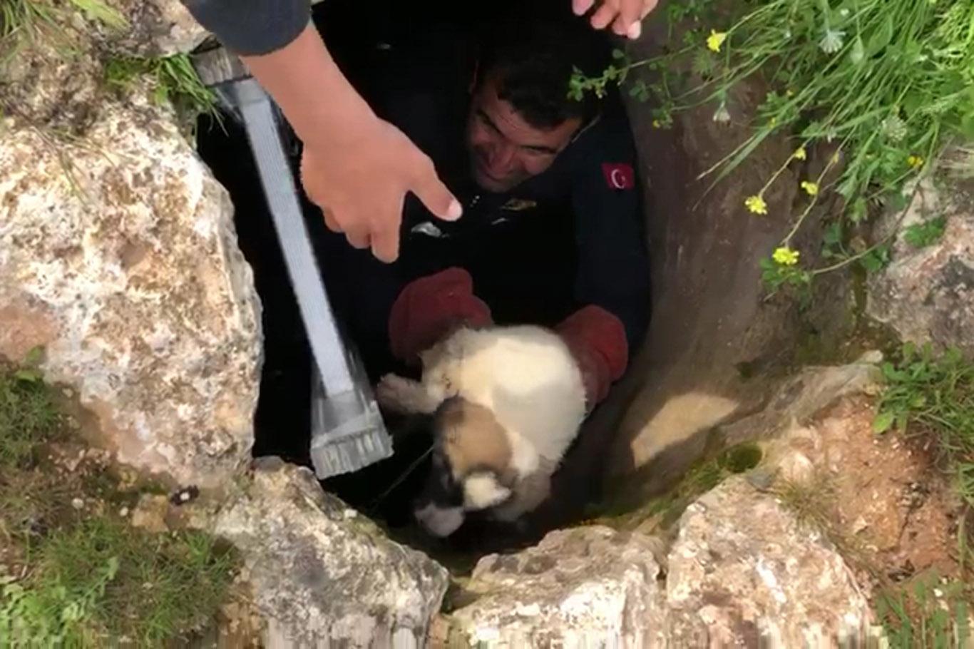Kuyuda iki gün mahsur kalan yavru köpek kurtardı